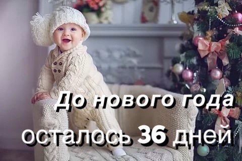 36 дней до Нового года